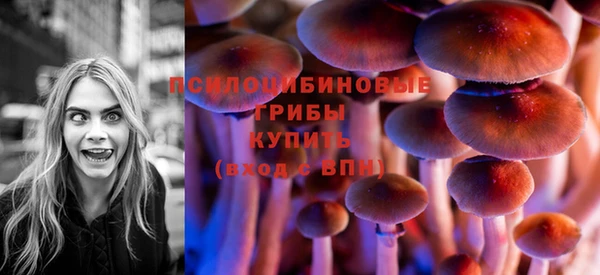 гидра Аксай