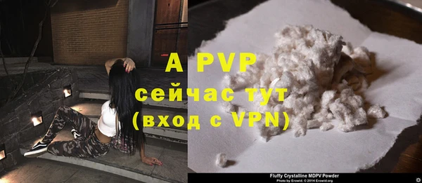 прущие грибы Мегион