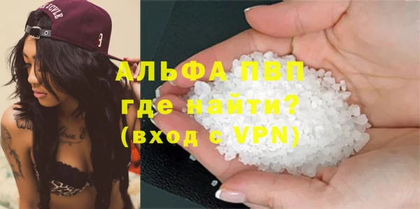 прущие грибы Мегион