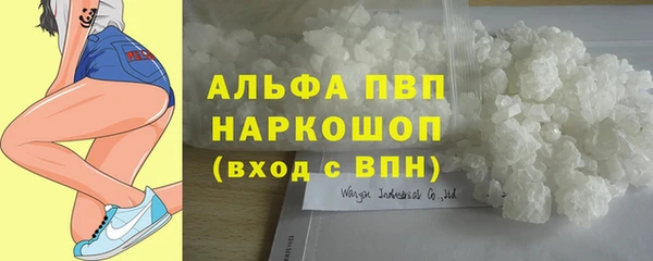 прущие грибы Мегион