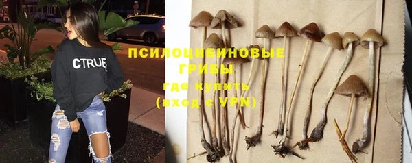МДМА Медногорск