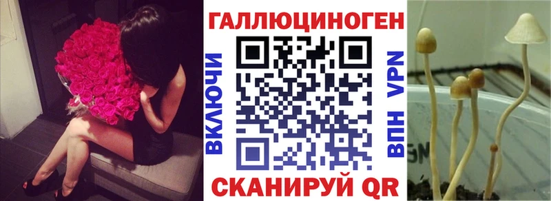 наркота  kraken сайт  Псилоцибиновые грибы Magic Shrooms  Эртиль 